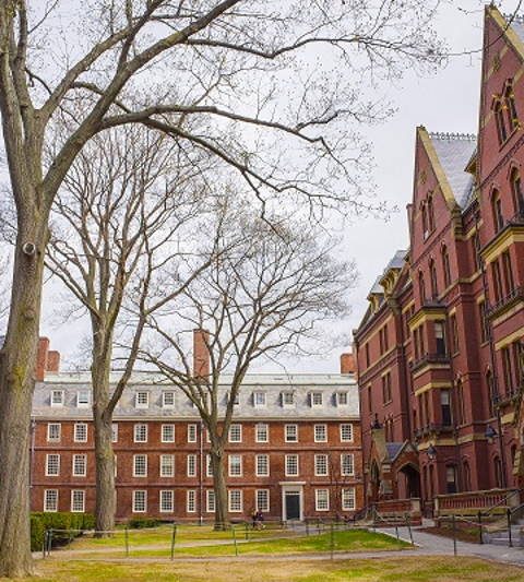 harvard-uni