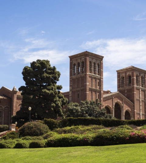 University-of-California-UCLA