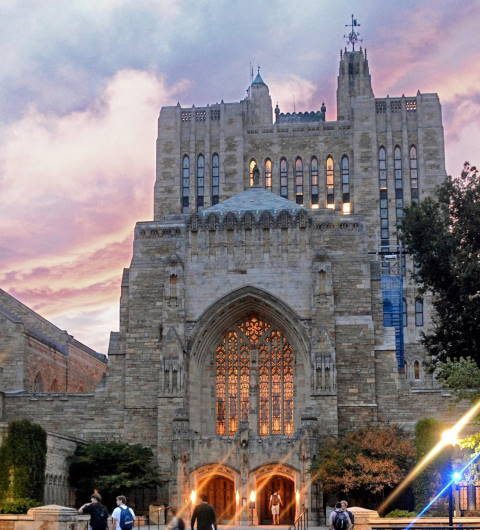 harvard university