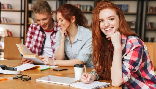 Φοιτητές, διπλωματική εργασία